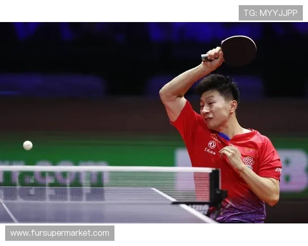 乒乓球运动的文化魅力与全民健身推动作用的深入探讨