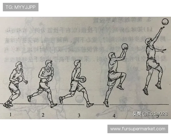 篮球技巧与战术解析：从基础训练到高级战略全方位提升球场表现