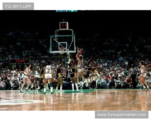 聚焦职业篮球运动员成长之路与赛场风云传奇故事深度解析全景呈现