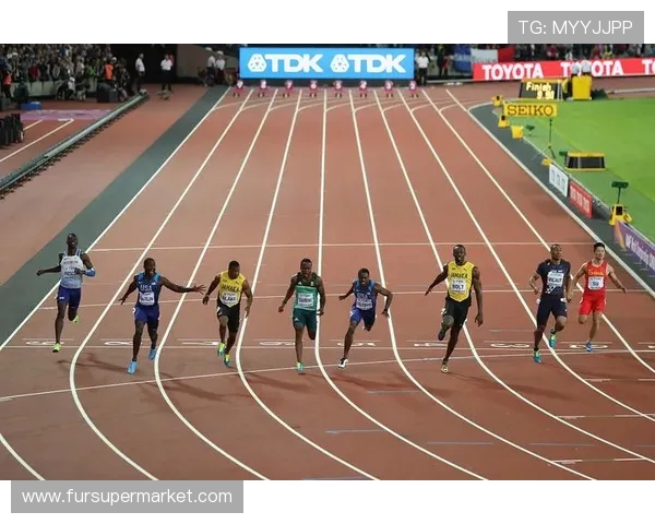 全面提升运动表现的科学方法及其在不同体育项目中的应用探索