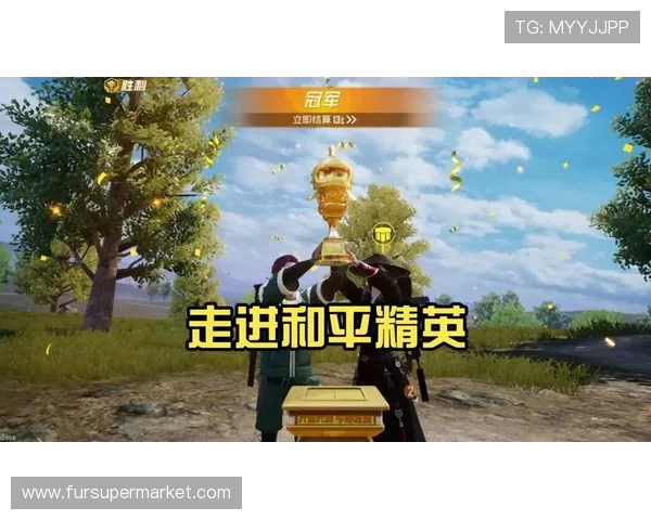 专访王娜揭秘和平精英成功背后的策略与创新之路