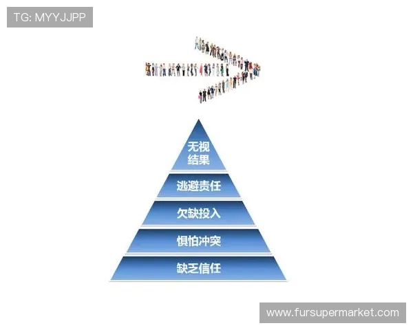 北京篮球队大满贯点评团队协作表现的深度分析与启示