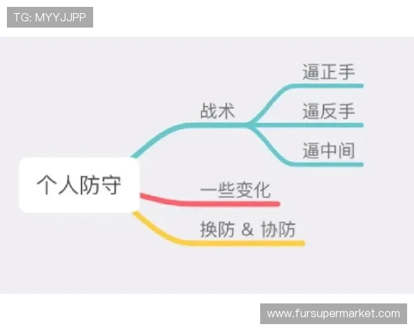 北京飞盘队区域防守分析：优劣势与战术调整探讨