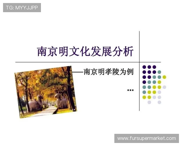 南京排球队个人能力分析与发展潜力探讨 南京排球队个人能力分析与发展潜力探讨