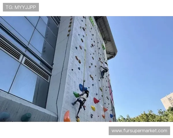 广州攀岩队在攀岩比赛经验排行榜中荣获第九名的佳绩引发关注