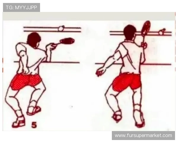 羽毛球战术揭秘:深入分析成都羽毛球队的进攻策略与技巧