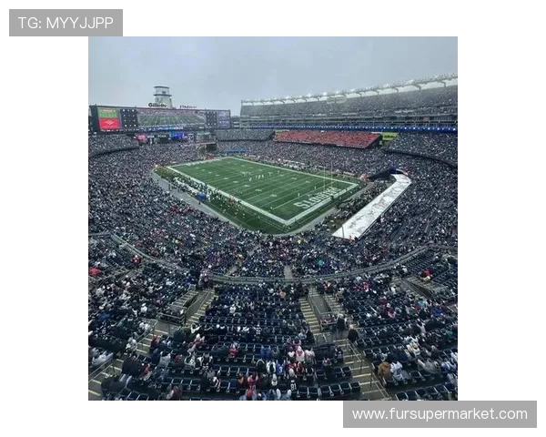 2026年世界杯将首次由三国联合主办 体育盛宴将带来哪些新变化与挑战