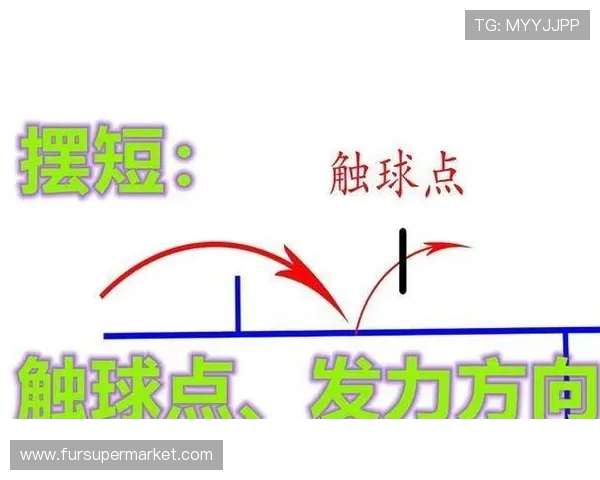 乒乓球运动发展史与技术革新对现代竞技水平的推动作用分析