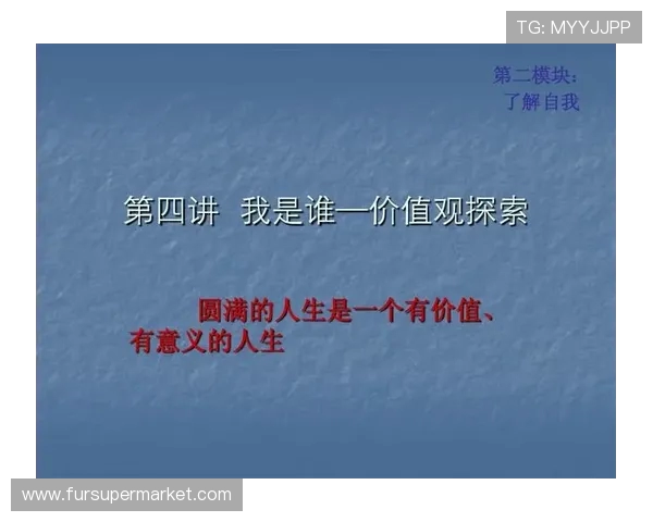 张帆的奋斗历程与成长故事探寻人生的意义与价值